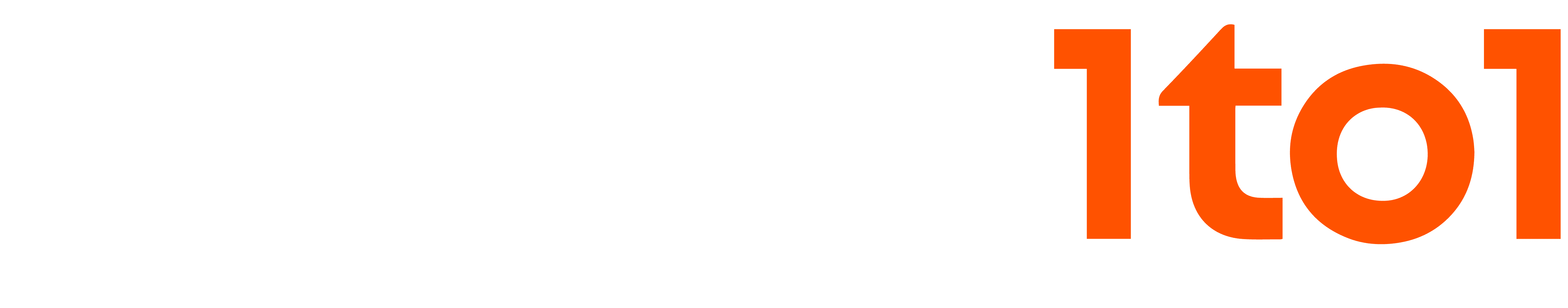D1to1 logo