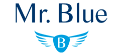 mr blue